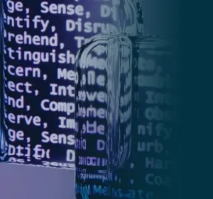 consultoriaciberseguridad4 300x281.jpg 1