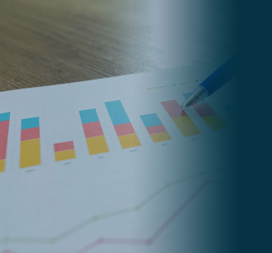 evaluación y gestión cyberSEO