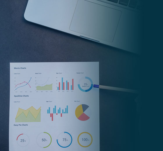 evaluación y gestión cyberSEO