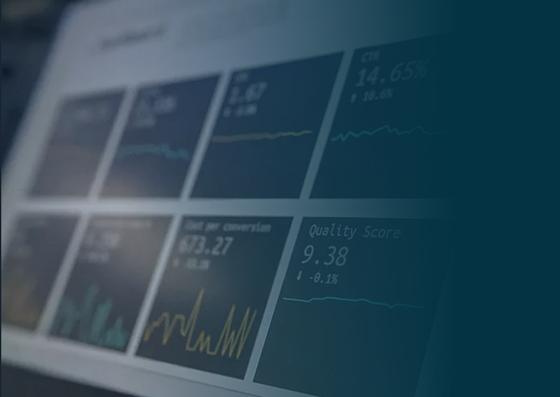 optimización y datos cyberSEO