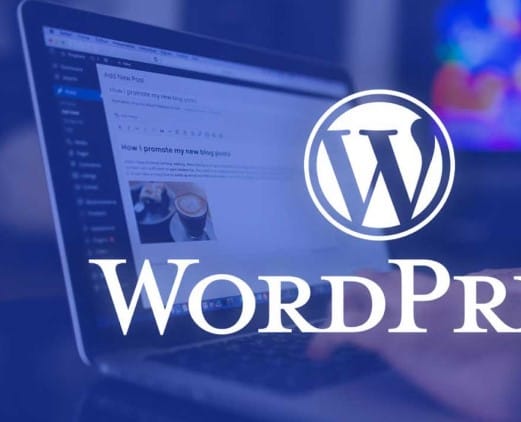 Qué es un CMS y por qué elegir WordPress